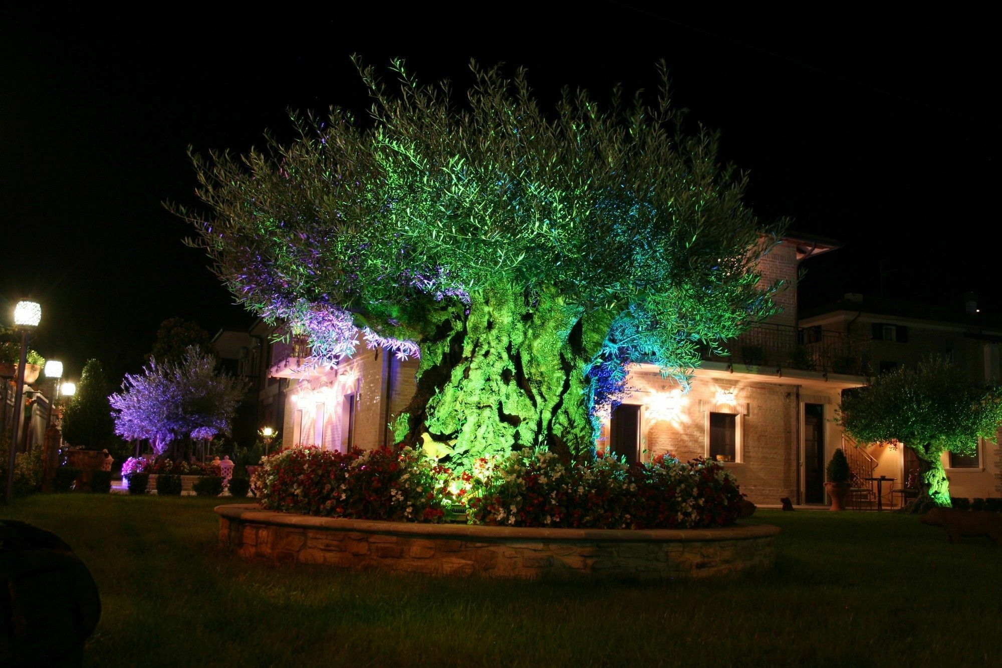 Hotel Domus Angeli Assisi Exterior foto